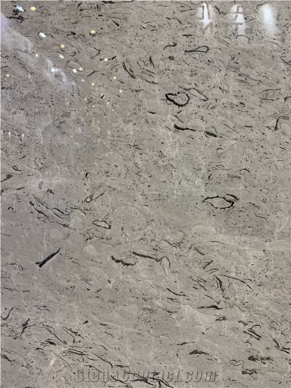 Repen Classico Limestone Slab
