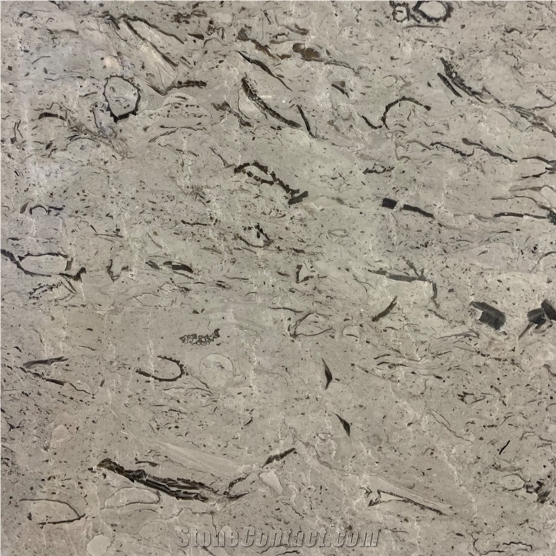 Repen Classico Limestone Tile