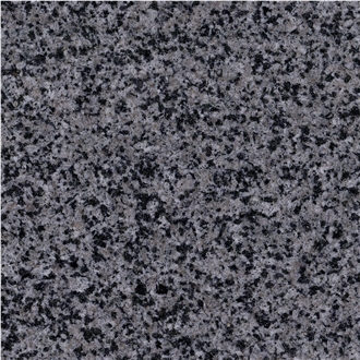 Sesame Gray Granite