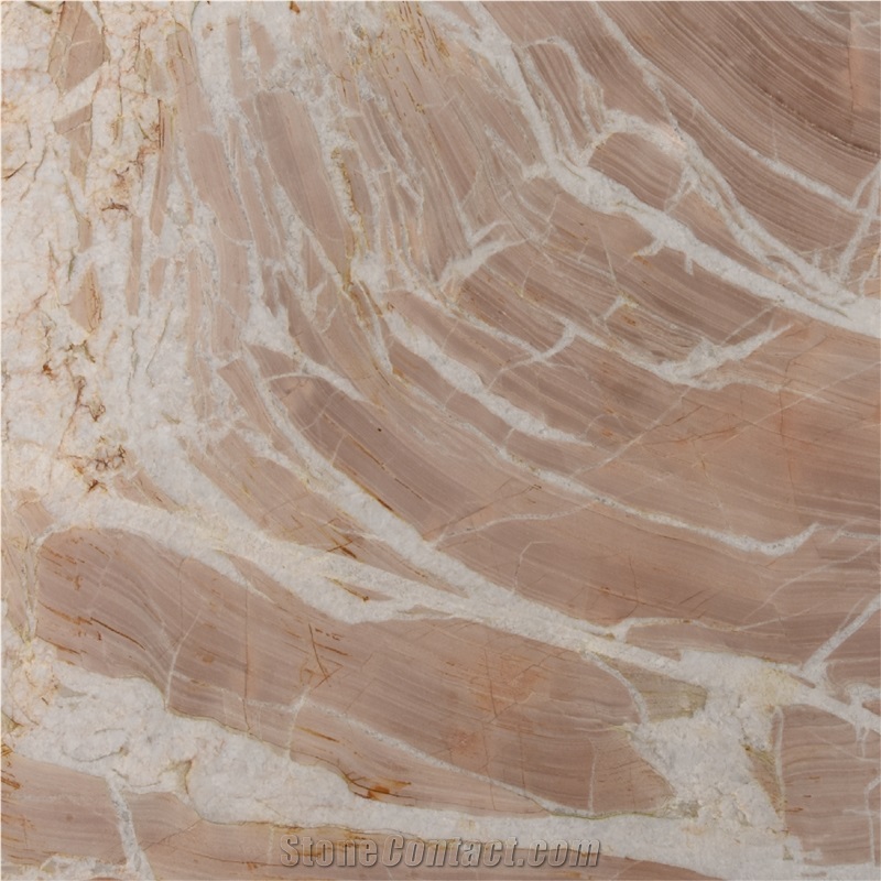 Splendido Quartzite Tile