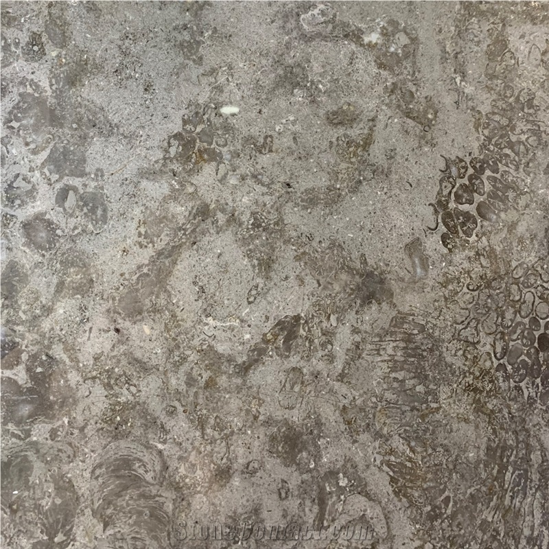 William Grey Marble Tile