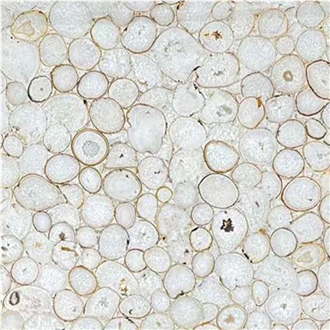 Factory White Agate Semiprecious Stone Slabs