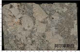 Alps White Granite Tiles For Wall And Floor