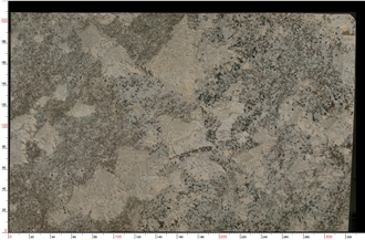 Alps White Granite Tiles For Wall And Floor