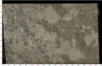 Alps White Granite Tiles For Wall And Floor