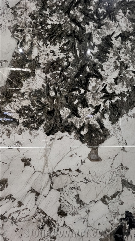 DMD Alpinus Granite Slabs Book Matched