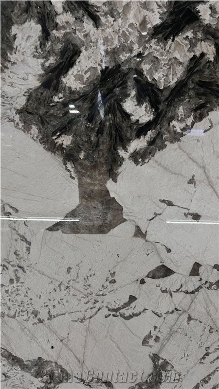 DMD Alpinus Granite Slabs Book Matched