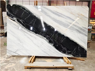 Panda White Marble Slabs Dalmata White Marble