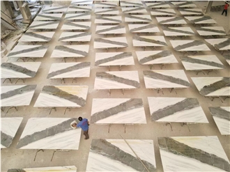 Panda White Marble Slabs Dalmata White Marble
