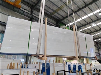 Turkey Bianco Dolomiti White Marble Slabs For Interior Use