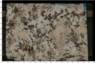 White Persa Granite Slabs White Persa Granite Slabs