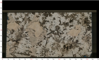 White Persa Granite Slabs