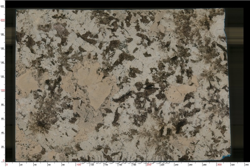 White Persa Granite Slabs