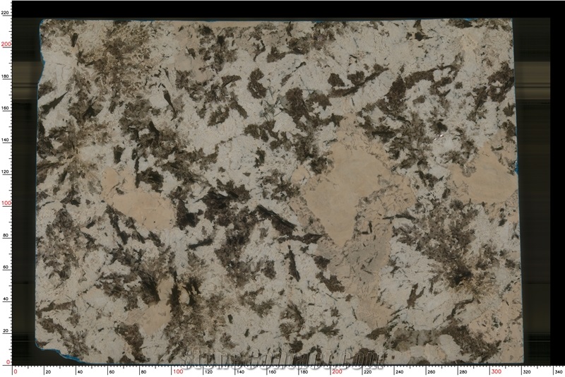 White Persa Granite Slabs