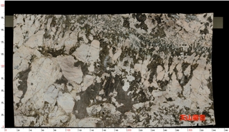 White Persa Granite Slabs