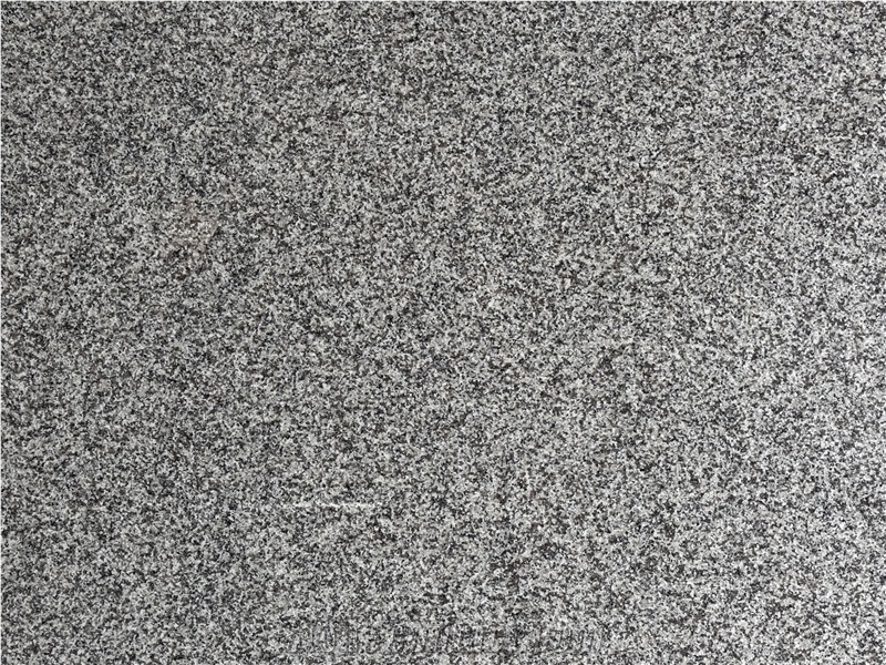 New G623 Rosa Beta Grey Granite Slabs