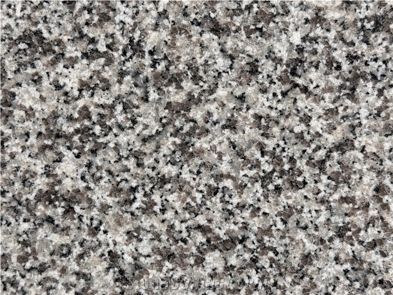 New G623 Rosa Beta Grey Granite Slabs