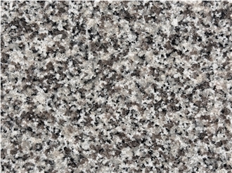 New G623 Rosa Beta Grey Granite Slabs