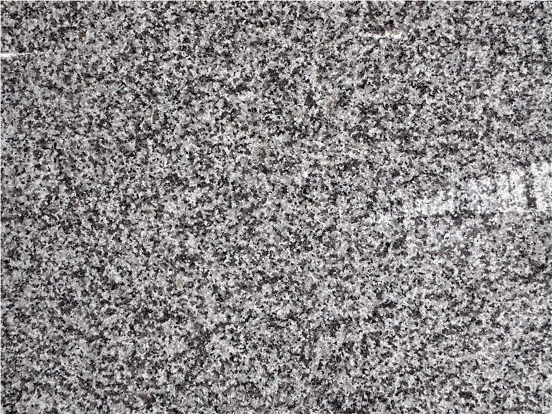 New G623 Rosa Beta Grey Granite Slabs