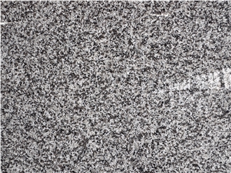New G623 Rosa Beta Grey Granite Slabs