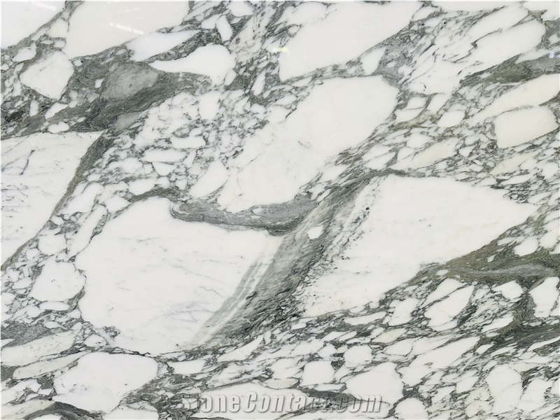 Arabescato Corchia Marble Slabs