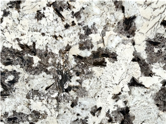 Bianco Antico White Granite Slabs
