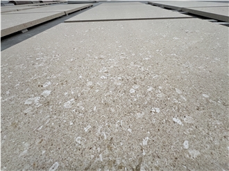 Bianco Avorio Limestone Wall Tiles
