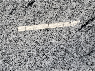 Viscont White Granite Slabs