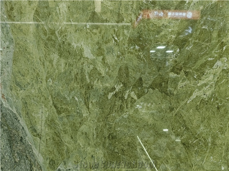 Alga Green Quartzite Slabs