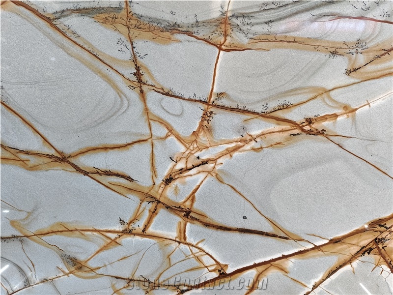 Blue Roma Quartzite Slab Tiles