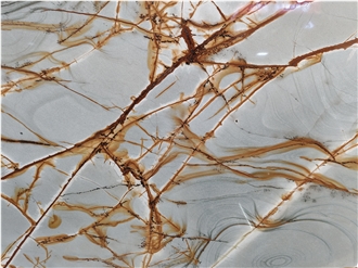 Blue Roma Quartzite Slab Tiles