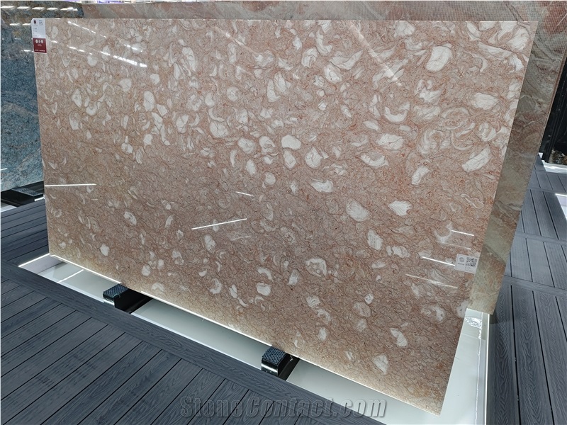 Orient Fossil  Limestone 20Mm Thick Polished Surface Slabs