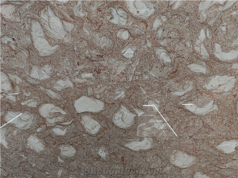 Orient Fossil  Limestone 20Mm Thick Polished Surface Slabs