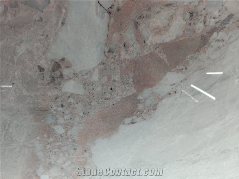 Sarrancolin Opera Fantastico Marble Slab Pattern