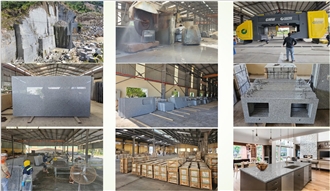 Vietnam Granite Slabs - Luna Pearl/Luna White