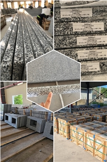 Vietnam Granite Slabs - Luna Pearl/Luna White