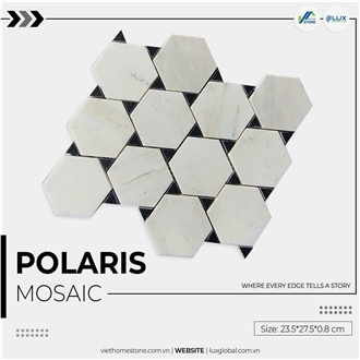 Crystal White Marble Hexagon Polaris Mosaic Tiles