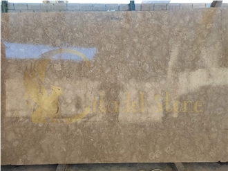Ocean Reef Shellstone Pavers Tiles