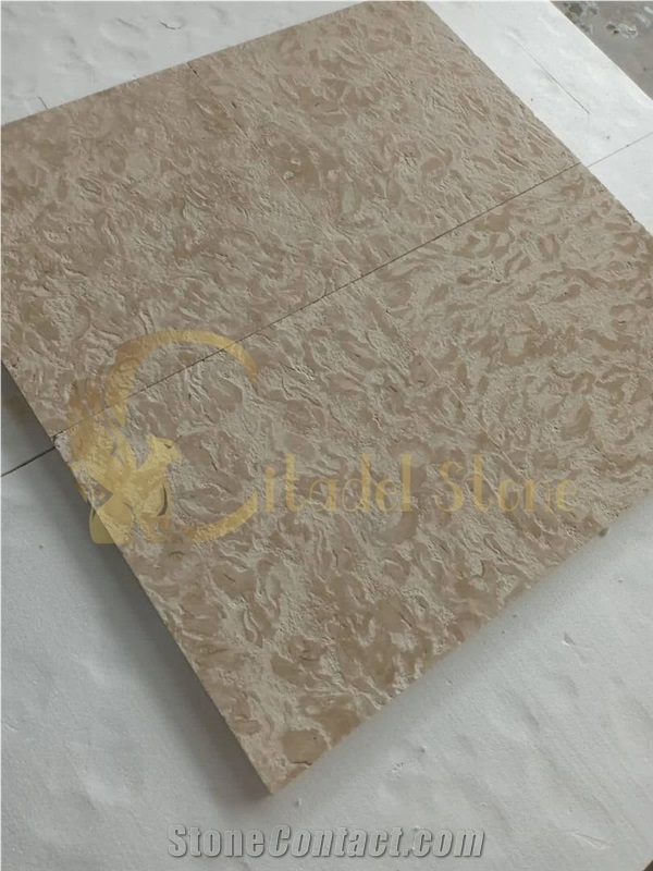 The Original Source For Shell Stone  Tiles