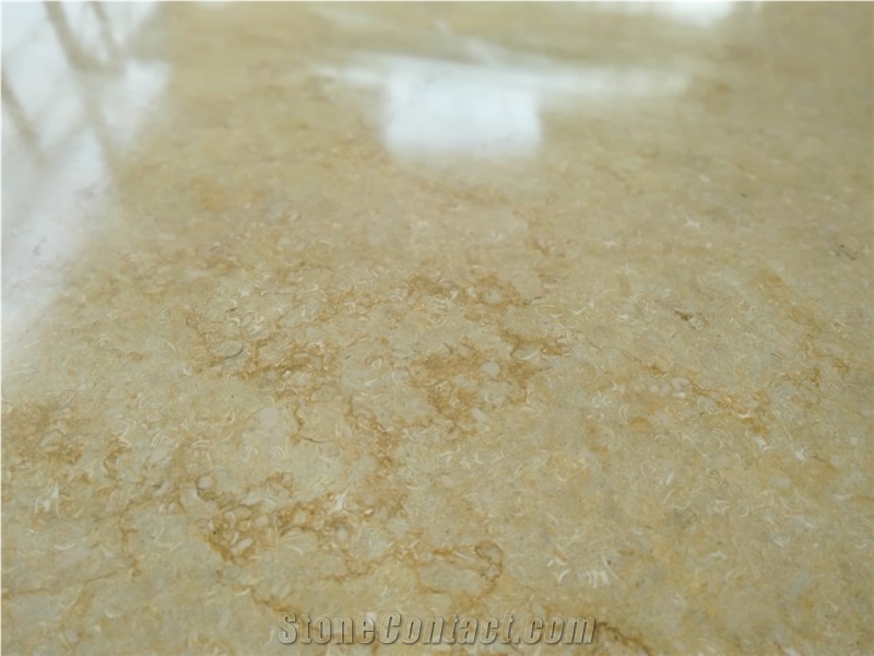 Sunny Menia Marble Tiles