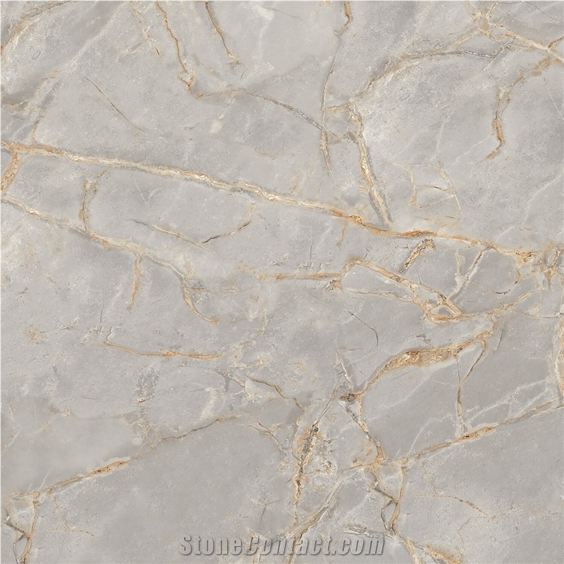 Versace Gold Porcelain Slabs