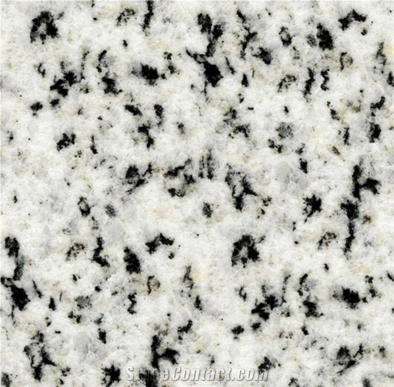 White Halayeb Granite Slabs