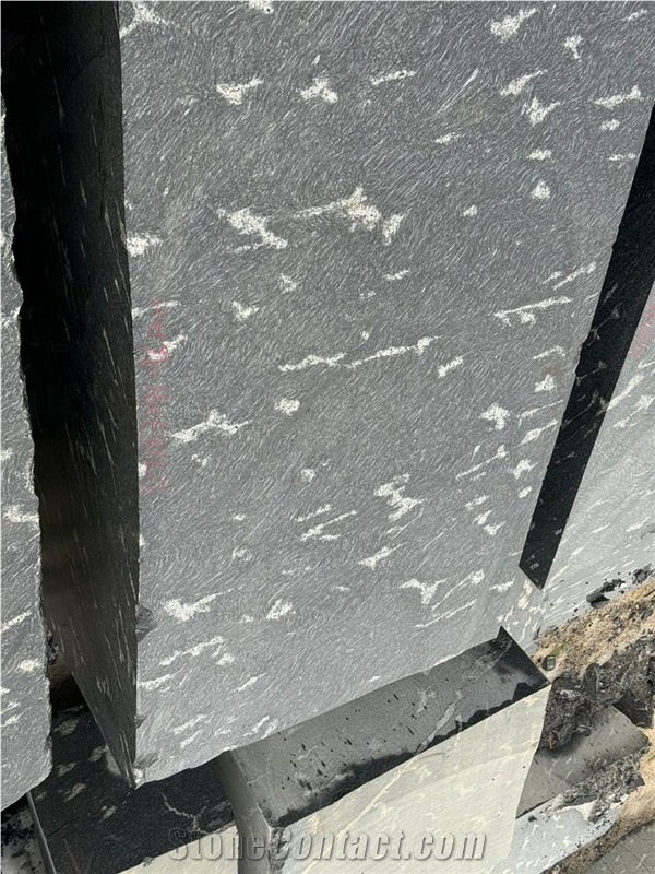 Fish Black Granite Blocks