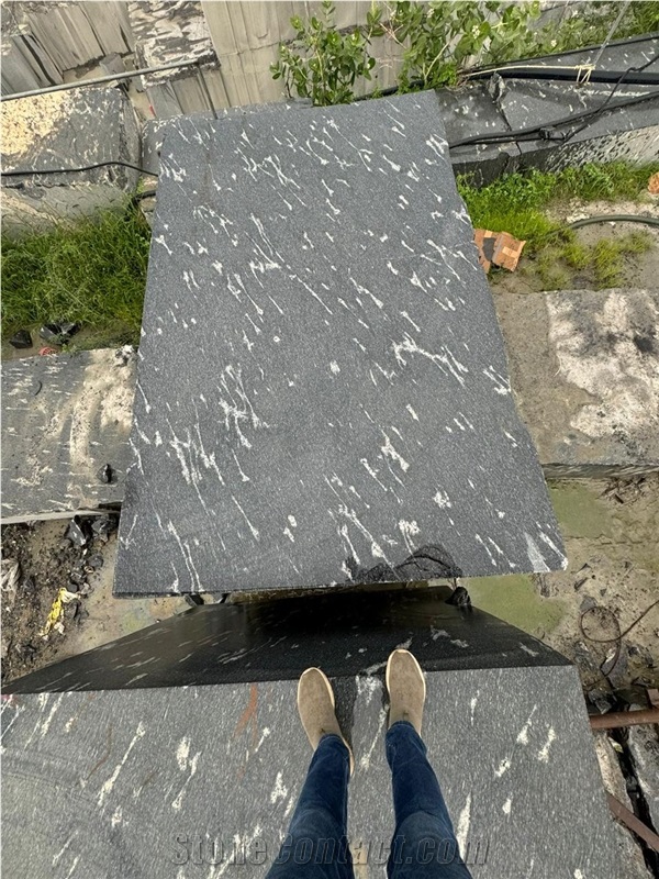 Fish Black Granite Blocks
