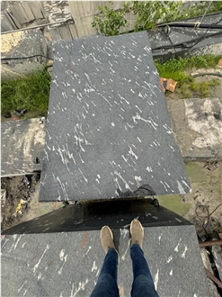 Fish Black Granite Blocks