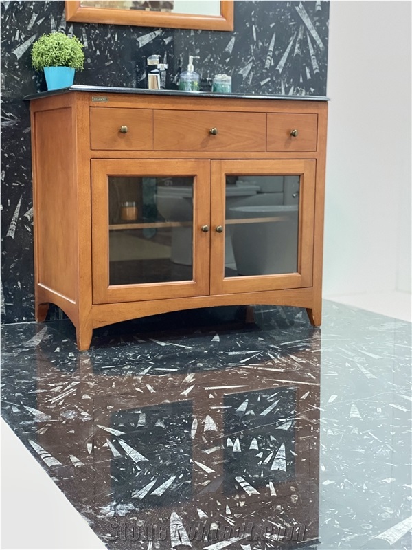 Devonian Black Fossil Marble Slabs