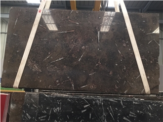 Devonian Brown Fossil Marble Slabs