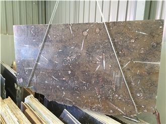 Devonian Brown Fossil Marble Slabs