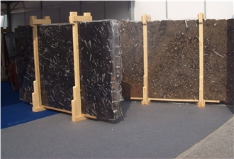 Devonian Brown Fossil Marble Slabs