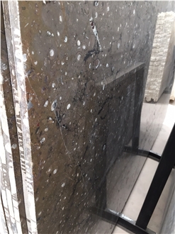 Devonian Brown Fossil Marble Slabs